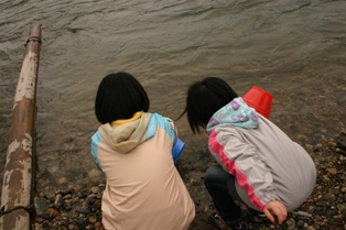 201004088.jpg
